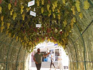 Sarıgöl’deki ’Üzüm Tüneli’ İlgi Odağı Oldu
