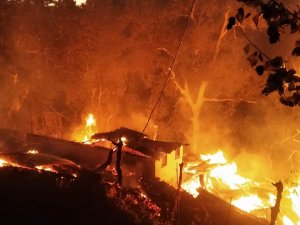 Artvin’de Çıkan Yangında 3 Ev Yandı, 14 Büyükbaş Hayvan Telef Oldu