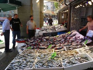 Sezonun En Bereketli Günü Yaşandı, Palamutlar Tezgâhları Doldurdu