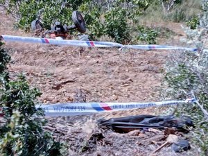 İ̇ncir Bahçesinde Traktör Devrildi: 1 Ölü