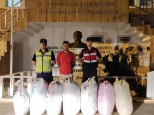 Demre’de 7 Çuval Keçiboynuzu Çalan Şüpheliler Yakalandı