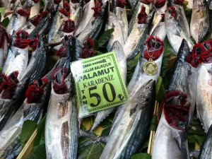 Çanakkale’de Palamudun Tanesi 50 Liraya Düştü