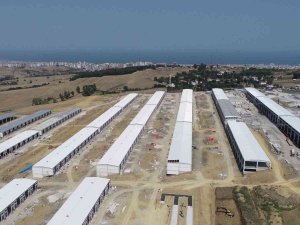 Demir: “Toybelen, Türkiye’nin Örnek Projelerinden Biri”