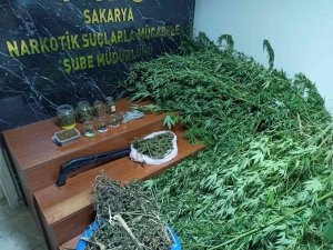 Sakarya’da Uyuşturucu Operasyonu: 4 Tutuklama