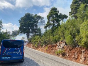 Alanya’da Orman Yangını