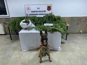 Bartın’da Uyuşturucu Operasyonu: 1 Gözaltı