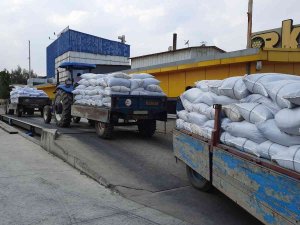 Tmo, Turgutlu’da Kuru Üzüm Alımına Başladı