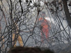 Alanya’daki Orman Yangını Kontrol Altına Alındı