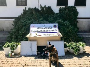 İ̇kametlerinde Uyuşturucu Madde İmal Edip Satan 2 Şüpheli Yakalandı