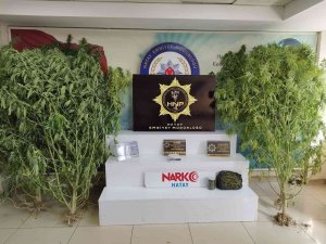 Hatay’da Uyuşturucu Operasyonu: 2 Gözaltı