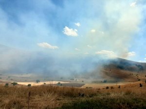 Gümüşhane’de 30 Dönüm Mera Alanı Yandı