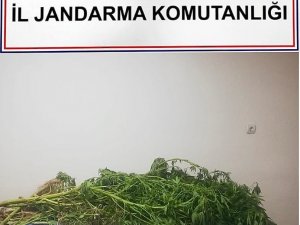 Jandarmadan Zehir Tacirine Darbe