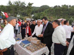 Menderes Havzası’nın Ürünü Olarak Bilinen İncir Dalaman’da Da Üretilmeye Başlandı