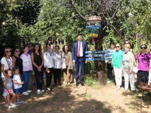 Kadıköy Ostanlarında Hasat Zamanı