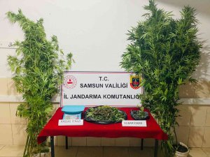 Jandarmadan Uyuşturucu Operasyonu: 1 Gözaltı