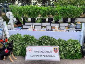Ev Terası Değil Uyuşturucu Serası