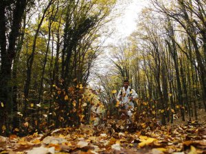 Sakarya Büyükşehir Doğanın Kalbine Özgün Mimarisiyle 10 Yeni Bungalov Yapıyor