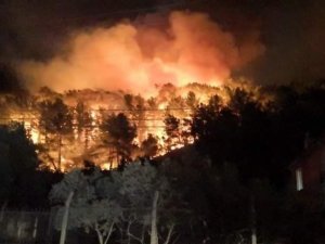 Muğla’nın Ula İlçesinde Orman Yangını