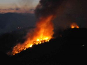 Muğla Gökova Yangını Devam Ediyor