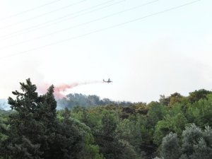 Yangına Havadan Müdahale Başladı