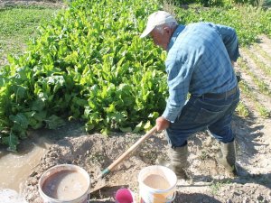 69 Yaşındaki Baba Bağda Üretiyor Genç Oğlu Tezgahta Satıyor