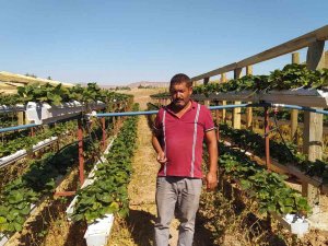 Üretime Kat Attı, Bir Dikti Üç Aldı