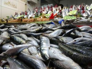 Balık Fiyatları Düştü, Vatandaşların İlgisi Arttı