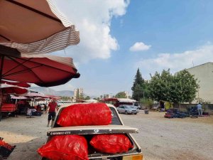 Salçalık Biberin Kilosu 12 Tl’den 10 Tl’ye Düştü