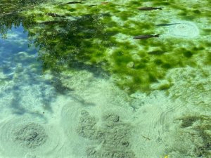 Şehrin Ortasındaki Gizemli Dipsiz Göl, Görenleri Hem Şaşırtıyor Hem De Büyülüyor