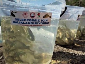 2023 Hedefi 100 Milyon Yavru Balık