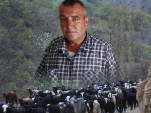 Kendisinden Haber Alınamayan Çoban Ölü Bulundu