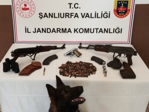 Şanlıurfa’da Silah Kaçakçılığı Operasyonu: 2 Gözaltı