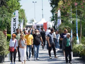 Süs Bitkiciliği Alanında İhracat, İthalatın 3 Katına Ulaştı