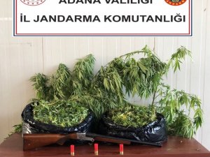 Adana’da Uyuşturucu Operasyonu