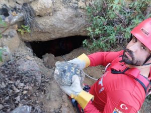 Kuyuda Mahsur Kalan Kaplumbağaları Akut Ekipleri Kurtardı