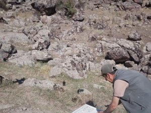 Afyonkarahisar’da Dağları Kınalı Keklik Süsledi