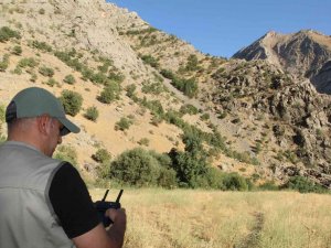 Şırnak’ta Kaçak Avcılık Denetiminde 1 Milyon 148 Bin 836 Lira Ceza Kesildi