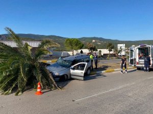 Erdek’te Kontrolden Çıkan Otomobil Ağaca Çarparak Durabildi
