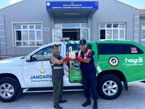 Polonya’da Gps Cihazı Takılan Leylek Aksaray’da Bitkin Halde Bulundu