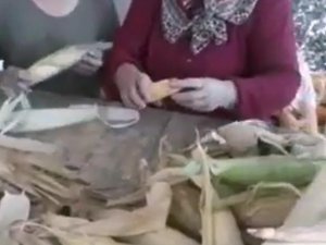 Giresun İ̇l Tarım Ve Orman Müdürlüğünden Mısır Unu Tavsiyesi