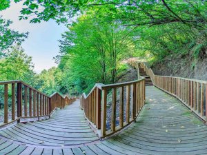 Doğa Harikası Şelaleye Ulaşım Kolaylaştı