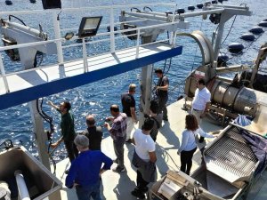 Yalova’da Organik Midye Sertifikasyon İşlemleri Başladı