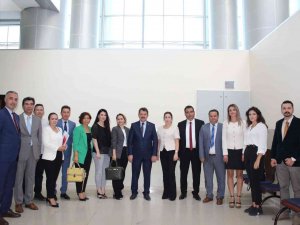 Aile İçi Ve Kadına Şiddete Yönelik Koordinasyon Toplantısı Düzenlendi
