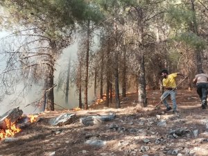 Adıyaman’da Orman Yangını Başladı