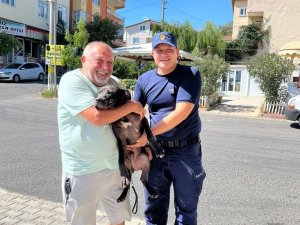 Sahibiyle Denizde Yüzerken Kaybolan Köpeği Sahil Güvenlik Kurtardı