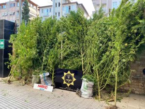 Hatay’da Uyuşturucu Operasyonu