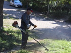Bahçeşehir’de Sonbahar Temizliği