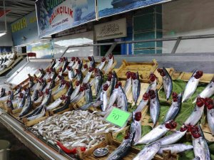Balık Bollaşınca Fiyatlar 50 Tl’ye Geriledi
