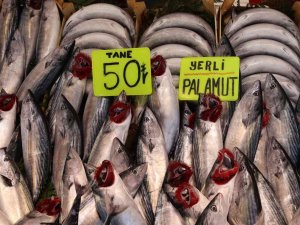 Bandırma’da Palamut Balığına Vatandaşlardan Yoğun İlgi