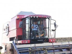 Balıkesir’de Ayçiçek Hasadına Başlandı